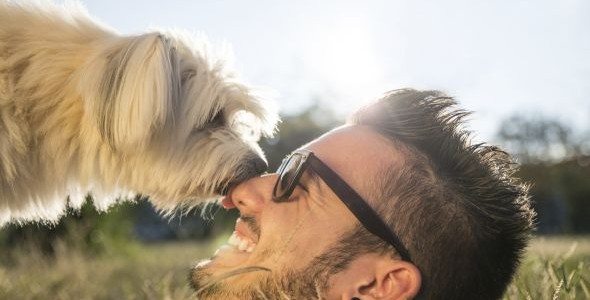 Cuidados básicos para tu mascota en primavera