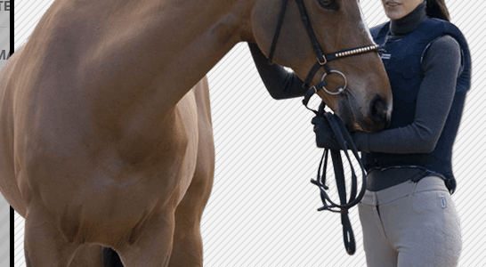 Consejos para iniciarse en la equitación