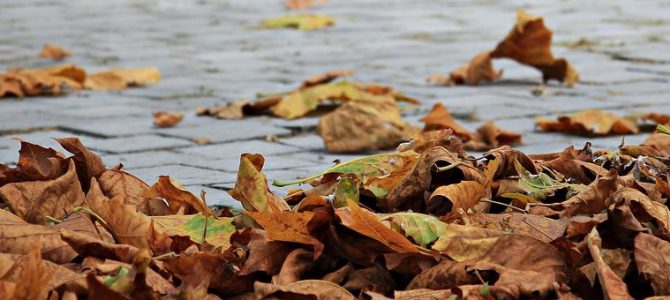 Descubre Conil en otoño